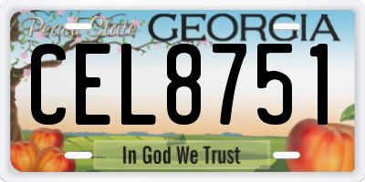 GA license plate CEL8751