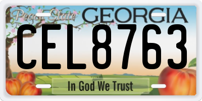 GA license plate CEL8763