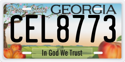 GA license plate CEL8773