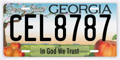GA license plate CEL8787