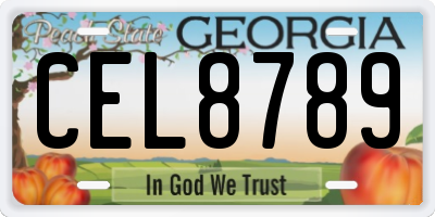 GA license plate CEL8789
