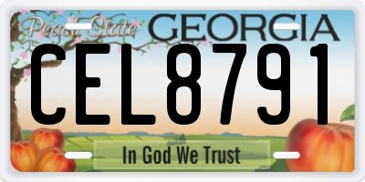 GA license plate CEL8791