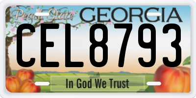 GA license plate CEL8793