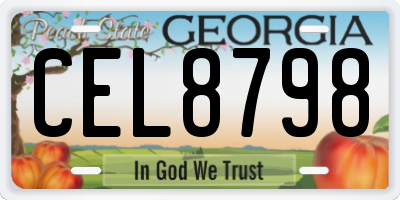 GA license plate CEL8798