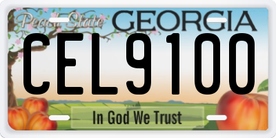GA license plate CEL9100