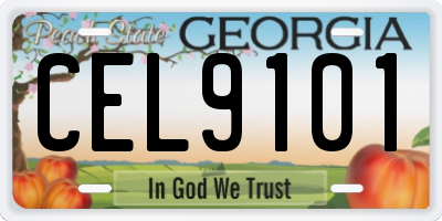 GA license plate CEL9101