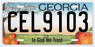 GA license plate CEL9103