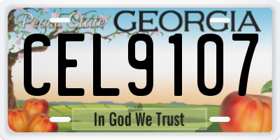 GA license plate CEL9107