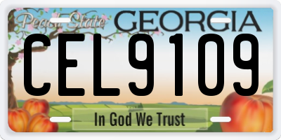 GA license plate CEL9109