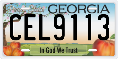 GA license plate CEL9113