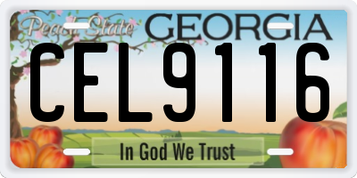 GA license plate CEL9116