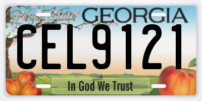 GA license plate CEL9121