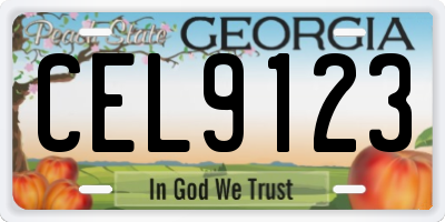 GA license plate CEL9123