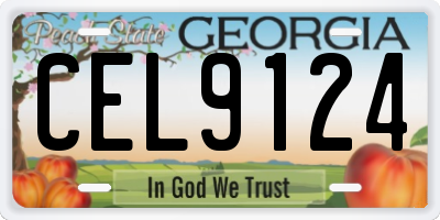 GA license plate CEL9124
