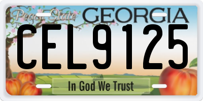 GA license plate CEL9125