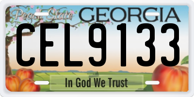 GA license plate CEL9133