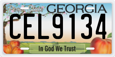 GA license plate CEL9134