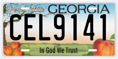 GA license plate CEL9141