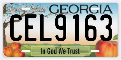 GA license plate CEL9163