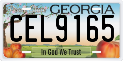 GA license plate CEL9165