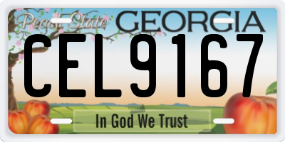 GA license plate CEL9167