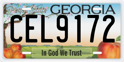 GA license plate CEL9172