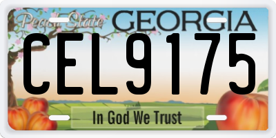 GA license plate CEL9175
