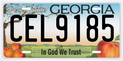 GA license plate CEL9185