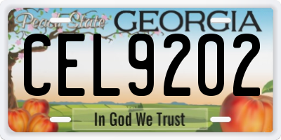 GA license plate CEL9202
