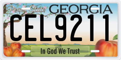 GA license plate CEL9211