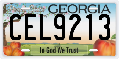 GA license plate CEL9213