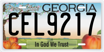 GA license plate CEL9217