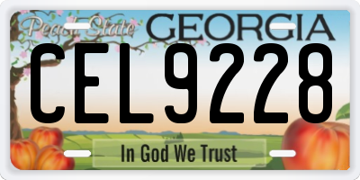 GA license plate CEL9228