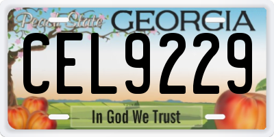 GA license plate CEL9229