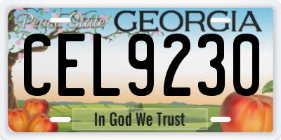 GA license plate CEL9230