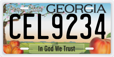 GA license plate CEL9234