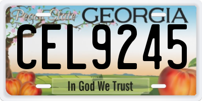 GA license plate CEL9245