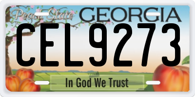 GA license plate CEL9273