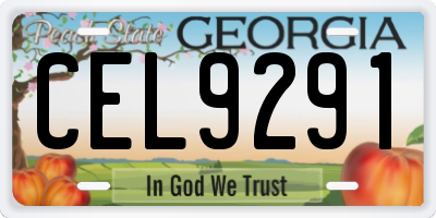 GA license plate CEL9291
