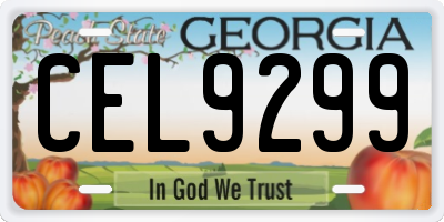 GA license plate CEL9299