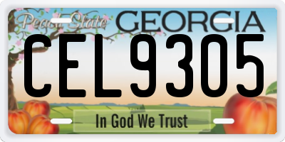 GA license plate CEL9305