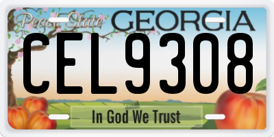 GA license plate CEL9308