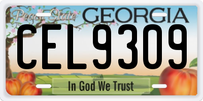 GA license plate CEL9309