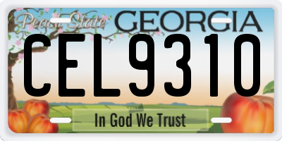 GA license plate CEL9310