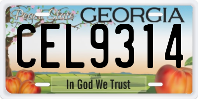 GA license plate CEL9314