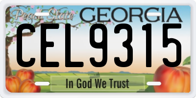 GA license plate CEL9315