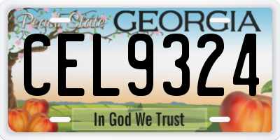 GA license plate CEL9324