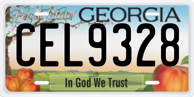 GA license plate CEL9328