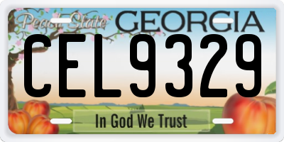 GA license plate CEL9329