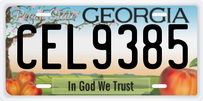 GA license plate CEL9385
